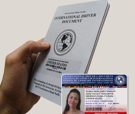 International driver license virginia